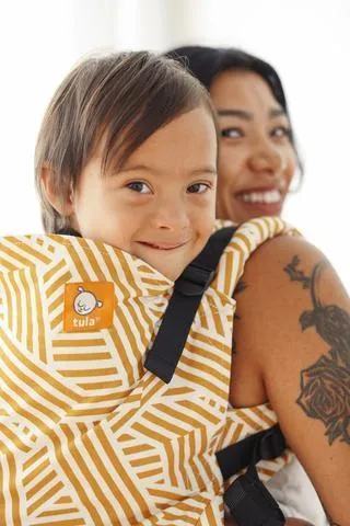 Sunset Stripes Tula Toddler Carrier